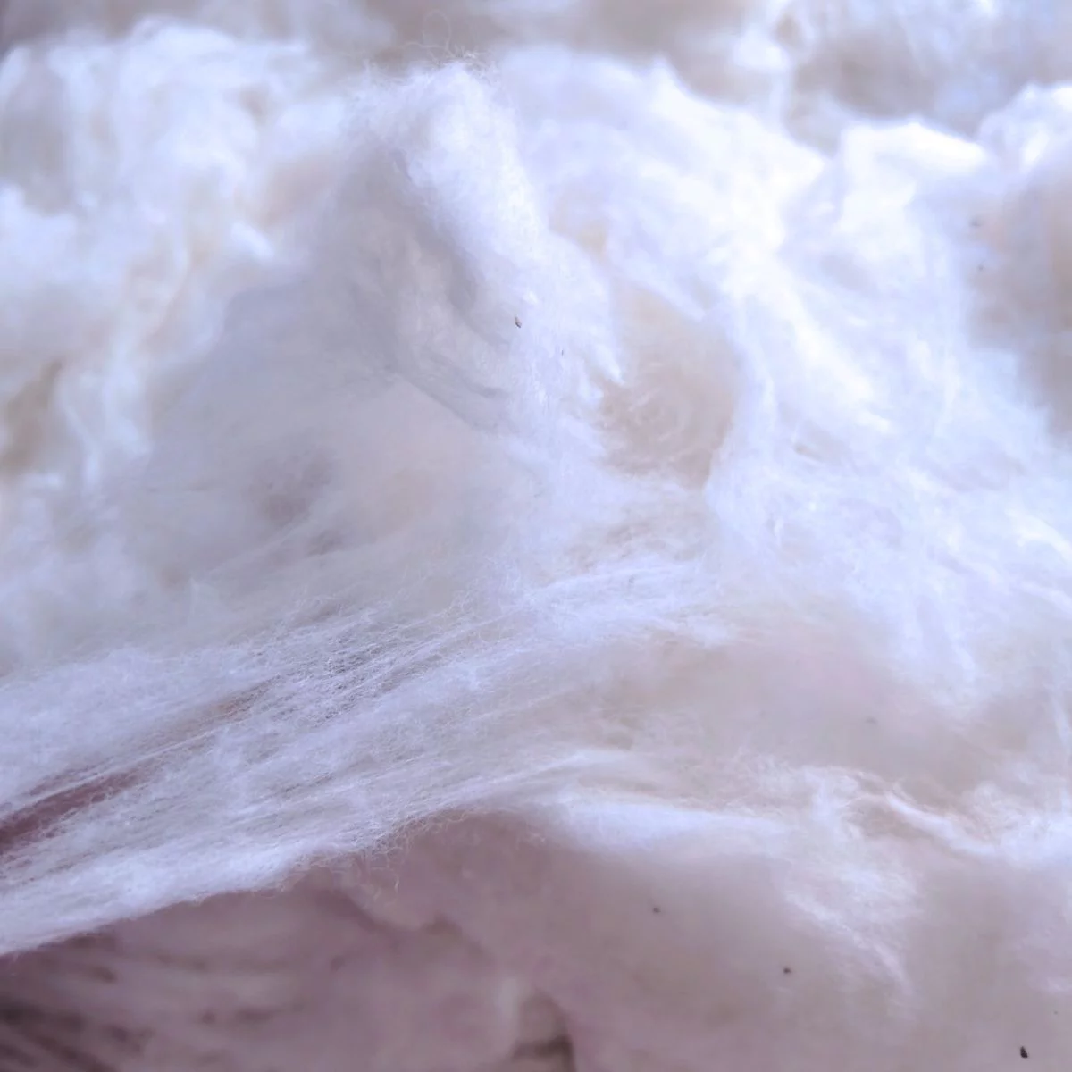 新疆阿克苏棉花纯棉花脱籽皮棉棉胎原生棉散装棉花